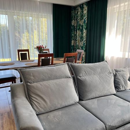 Dom Na Borowkowym Wzgorzu Διαμέρισμα Palesnica Εξωτερικό φωτογραφία